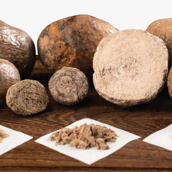 [7 March 2026] 公众健康讲座邀请 | Public Talk Invitation 为什么豪猪枣这么贵，还有人坚持要用？Why Is Porcupine Bezoar So Expensive—Yet People Still Insist on Using It?