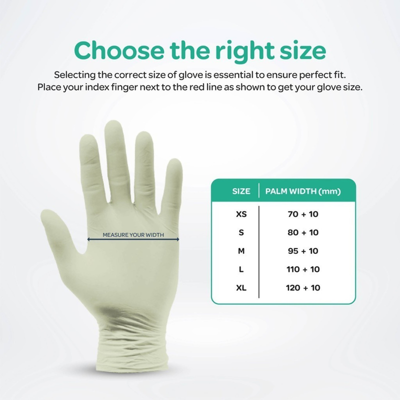 Latex Powder Free Examination Gloves 100's Z3250 | Bergamot