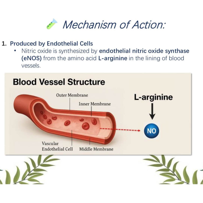 Medical Grip - Blood Pressure Lowering Exercise Equipment