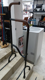 stair assist cane