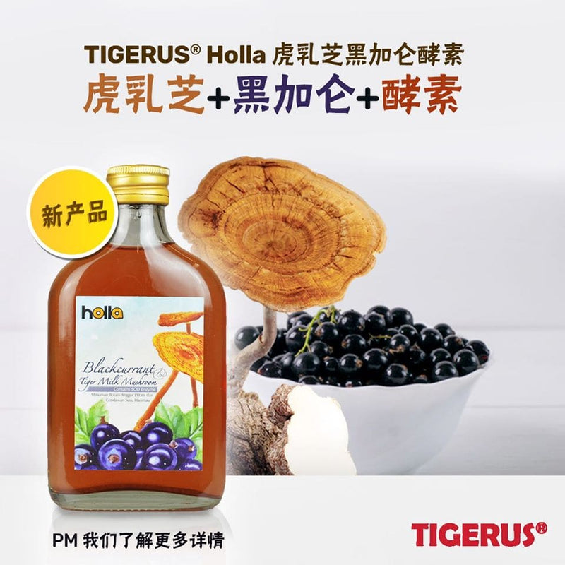 TIGERUS Holla Blackcurrant Tiger Milk Mushroom (190ml) - Asian Integrated Medical Sdn Bhd (ielder.asia)