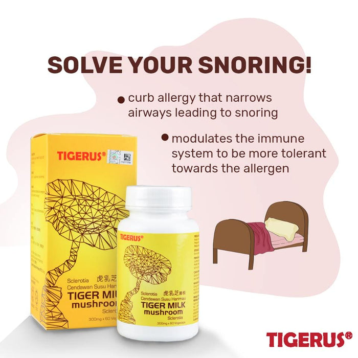 [Pre order] TIGERUS® Tiger Milk Mushroom Sclerotia (300mg x 60 Vegecaps) [ETA 3rd-4th April]] - Asian Integrated Medical Sdn Bhd (ielder.asia)