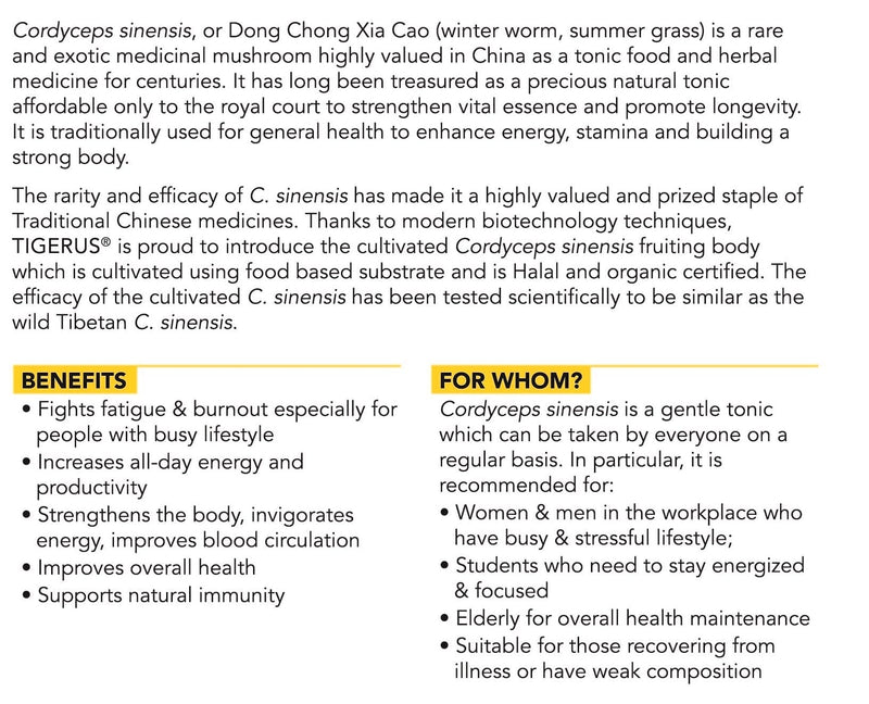 TIGERUS® Cordyceps Sinensis Fruiting Body (300mg x 60 Vegecaps) - Asian Integrated Medical Sdn Bhd (ielder.asia)