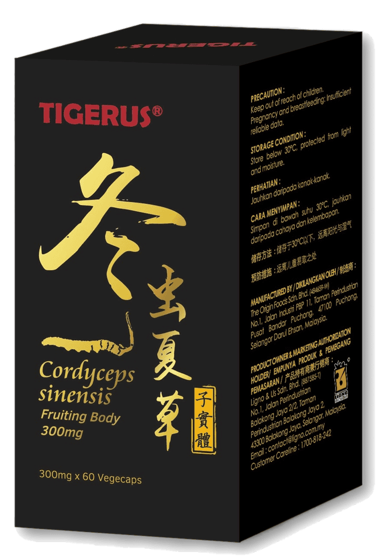 TIGERUS® Cordyceps Sinensis Fruiting Body (300mg x 60 Vegecaps) - Asian Integrated Medical Sdn Bhd (ielder.asia)