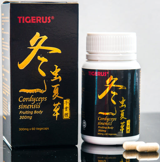 TIGERUS® Cordyceps Sinensis Fruiting Body (300mg x 60 Vegecaps) - Asian Integrated Medical Sdn Bhd (ielder.asia)