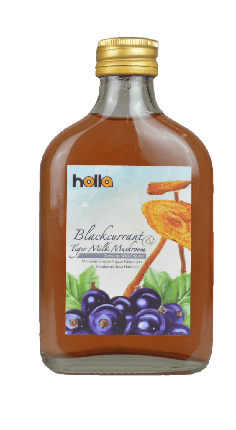 TIGERUS Holla Blackcurrant Tiger Milk Mushroom (190ml) - Asian Integrated Medical Sdn Bhd (ielder.asia)