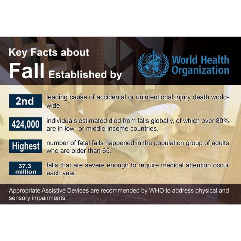 3-in-1 Stand Assist Walker CW-300 | CareWatch