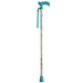Vanda Cane (Foldable and Height-Adjustable Cane) (0.5kg) - Asian Integrated Medical Sdn Bhd (ielder.asia)