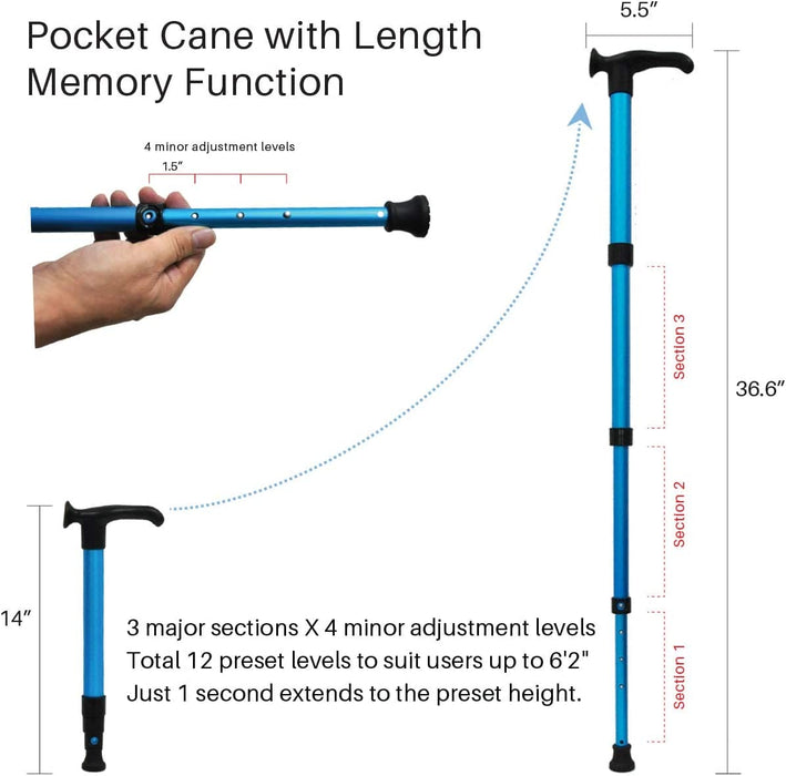 Pocket Cane